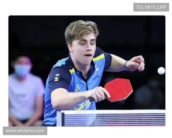 乒乓球传奇陈伟的职业生涯与心路历程深度对话